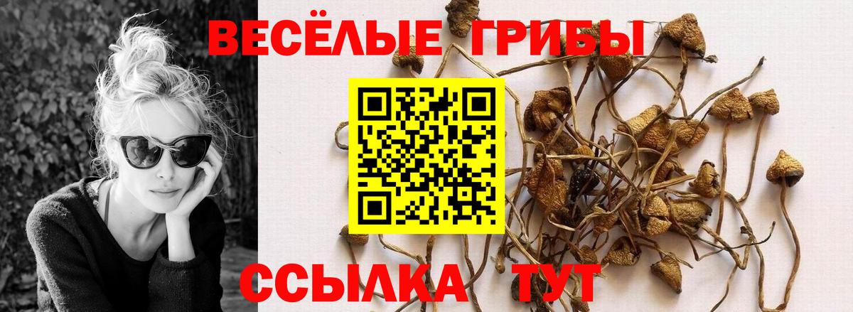 Псилоцибиновые грибы прущие грибы Чусовой