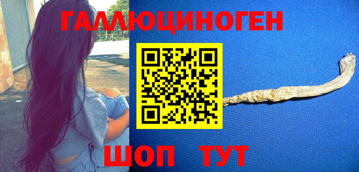 Галлюциногенные грибы Magic Shrooms  наркота  Чусовой  Вход с VPN  Псилоцибиновые грибы Magic Shrooms 